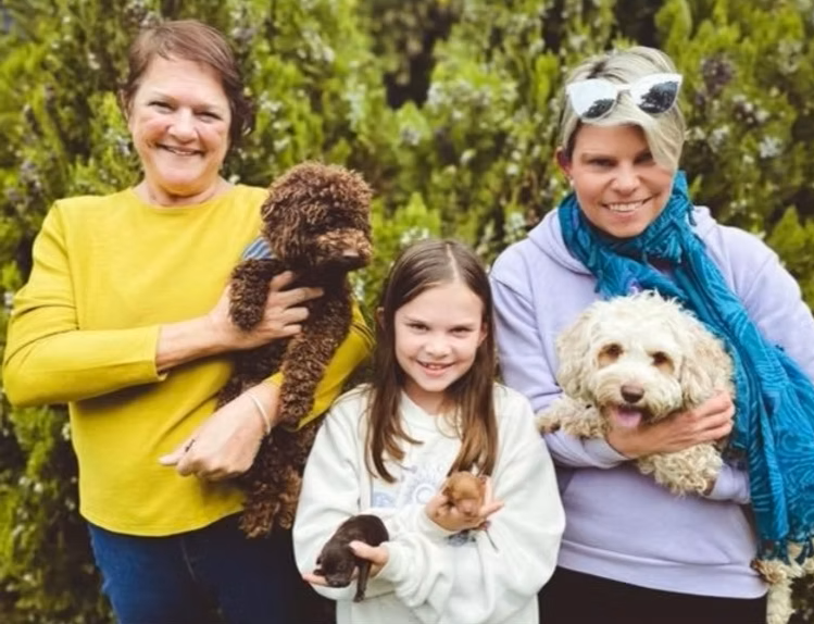 cavoodle guardian families